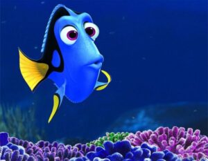 Dory Side Eye