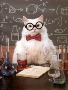 Science Cat