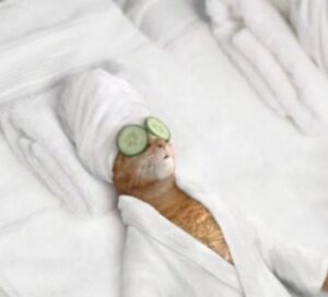 Spa Day Cat
